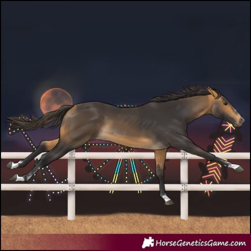 Horse Color:Buckskin