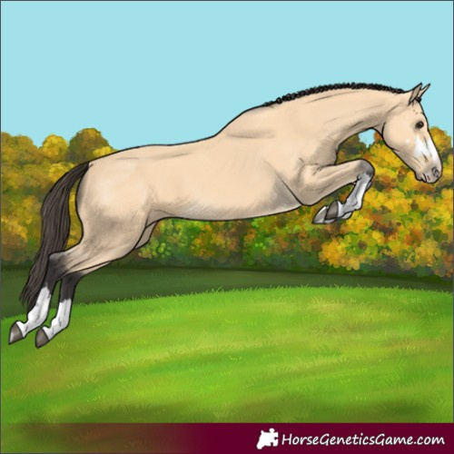 Horse Color:Unknown 