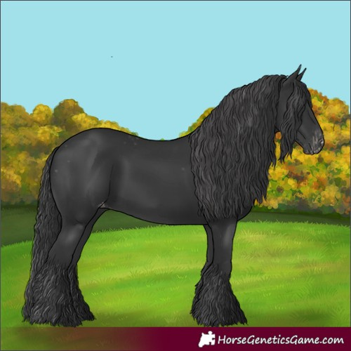 Horse Color:Black Varnish Rabicano 