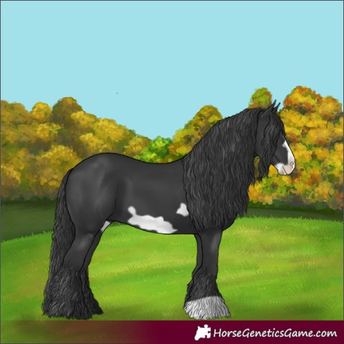 Horse Color:Black Frame