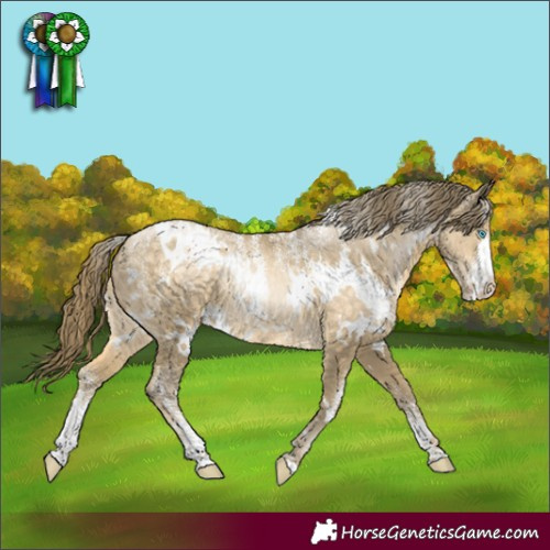 Horse Color:Powder White White Spotted Buckskin Pearl 