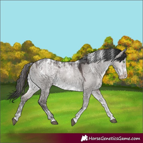 Horse Color:Powder White Platinum Brown Dun