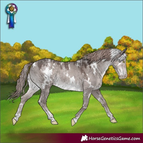 Horse Color:Powder White Platinum White Spotted Liver Red Dun Rabicano