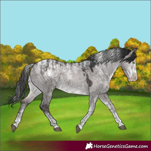 Horse Color:Powder White Platinum Brown Dun 