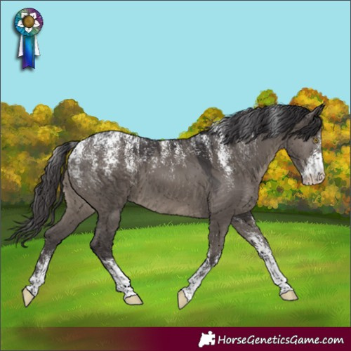 Horse Color:Powder White Smoky Grullo