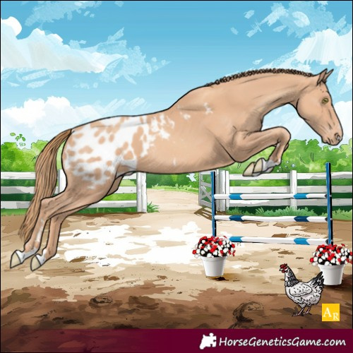 Horse Color:Gold Champagne Blanket 