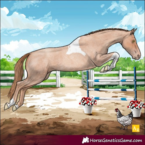 Horse Color:Gold Champagne Roan Tobiano