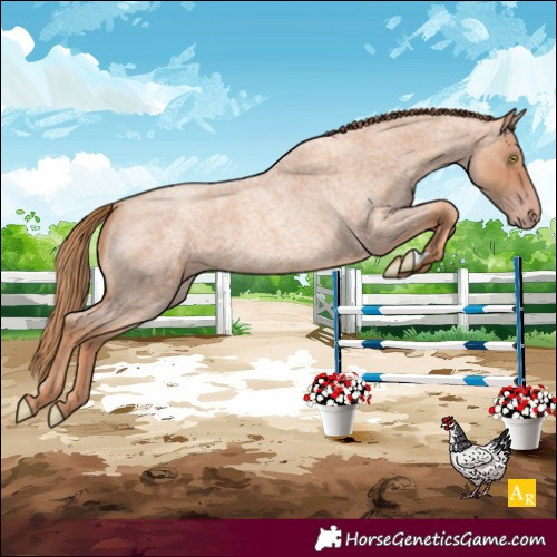 Horse Color:Gold Champagne Roan