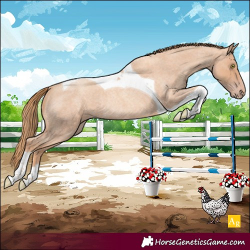 Horse Color:Gold Champagne Roan Tobiano Rabicano 