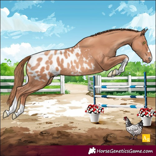 Horse Color:Gold Champagne Tobiano Blanket 