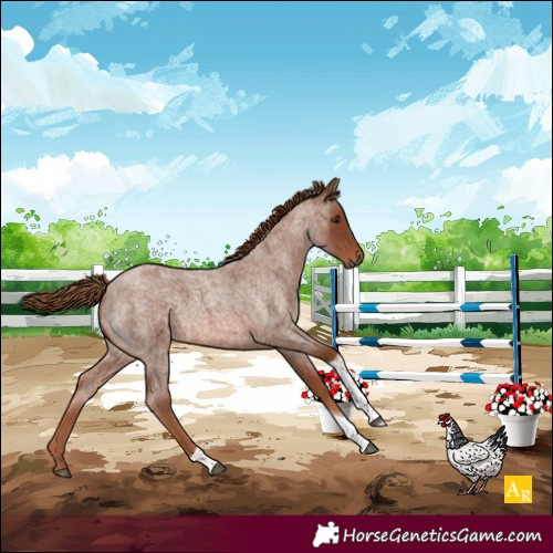 Horse Color:Red Roan Tobiano