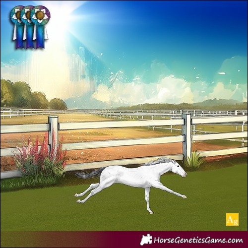 Horse Color:Brown Sabino