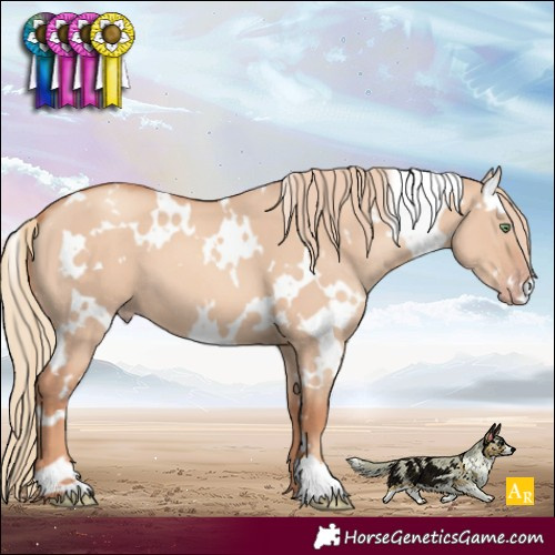 Horse Color:White Spotted Gold Champagne Dun 
