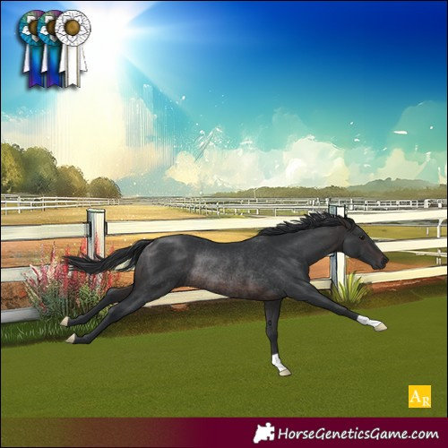 Horse Color:Brown Rabicano 