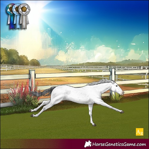 Horse Color:Brown Sabino Blanket 