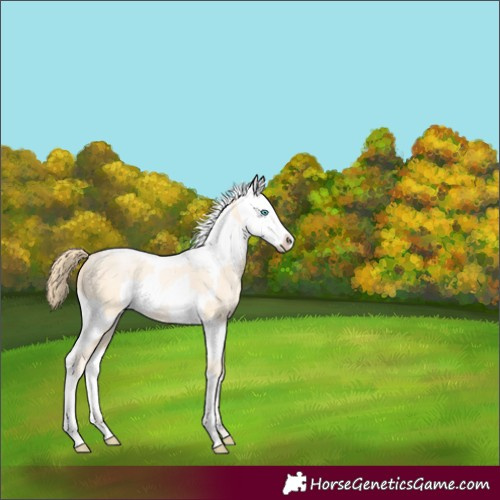 Horse Color:Buckskin Pearl Splash  and Buckskin Pearl Splash 