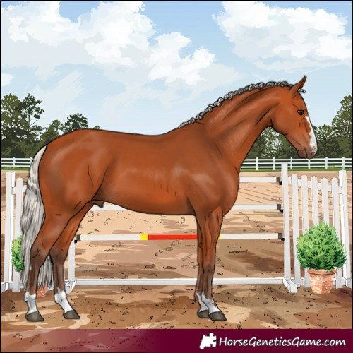 Horse Color:Silver Bay