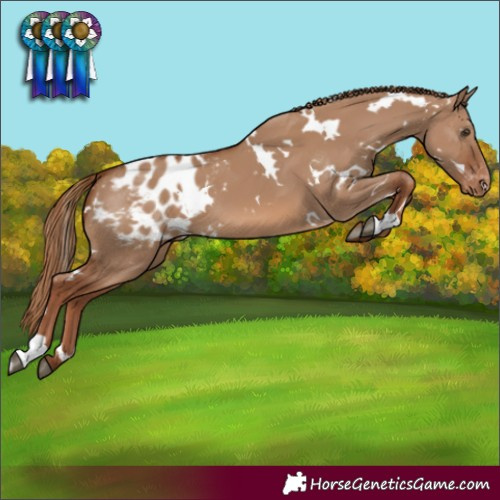 Horse Color:White Spotted Red Dun Varnish 