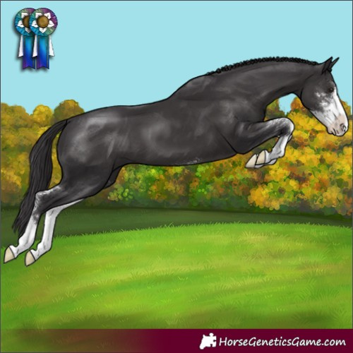 Horse Color:Smoky Black Sabino