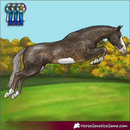 Horse Color:Silver Buckskin Frame 