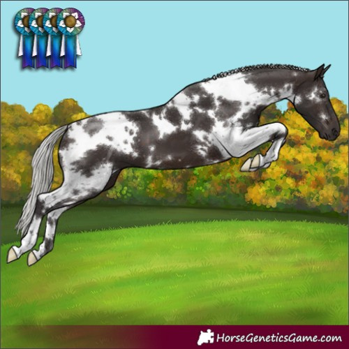 Horse Color:White Spotted Silver Brown