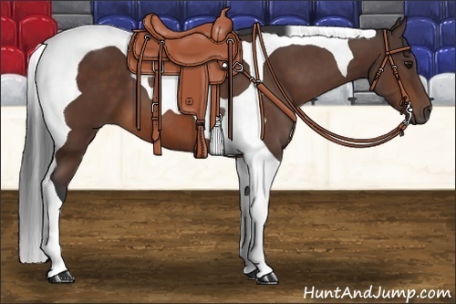 Horse Color:Bay Tobiano