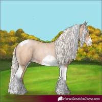 Horse Color:Silver Blue Roan Pearl Tobiano Frame