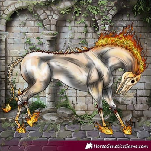 Horse Color:Buckskin Pearl Sabino Blanket