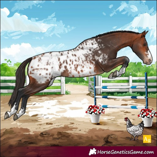 Horse Color:Bay Blanket  and Bay Blanket 