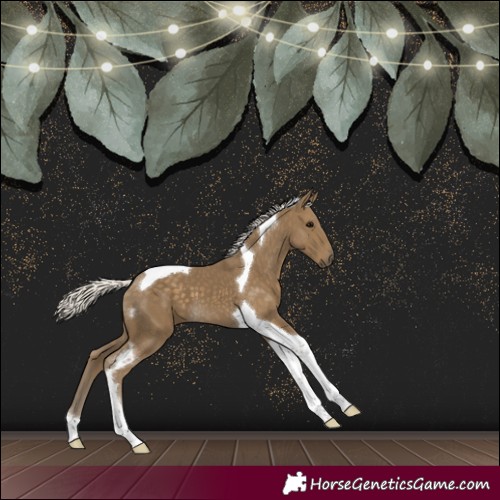Horse Color:Silver Smoky Black Tobiano 