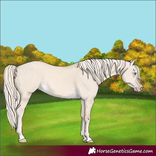 Horse Color:Cremello Dun 