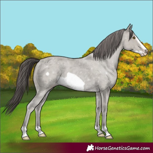 Horse Color:Classic Cream Champagne Frame
