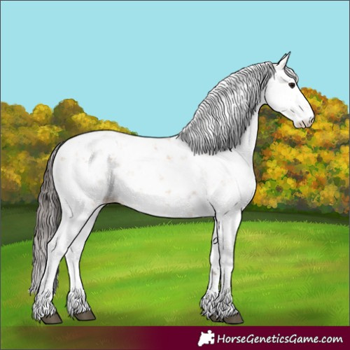 Horse Color:Bay Dun Sabino