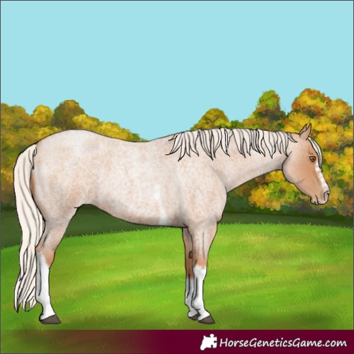 Horse Color:Silver Blue Roan Pearl Tobiano Frame