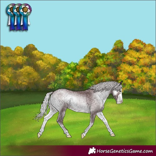 Horse Color:Chocolate Silver Blue Onyx Chinchilla Varnish 