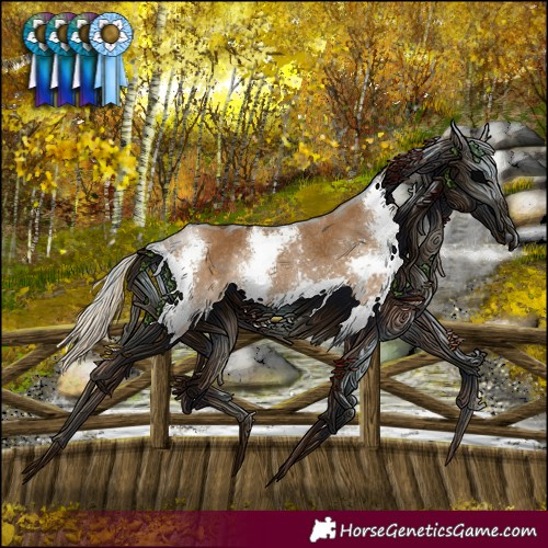 Horse Color:Chocolate Palomino Sabino Splash Rabicano 