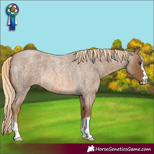 Horse Color:Chocolate Palomino Roan 