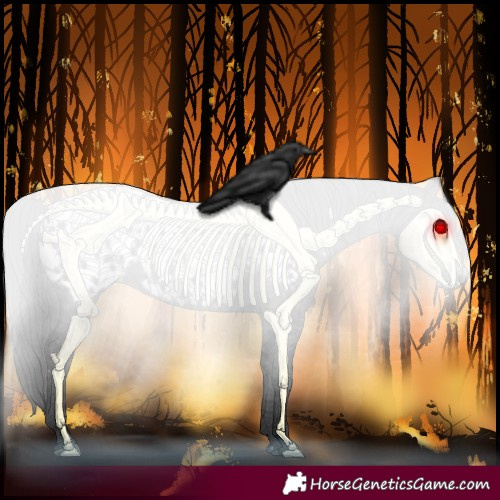 Horse Color:Black Sabino Blanket 