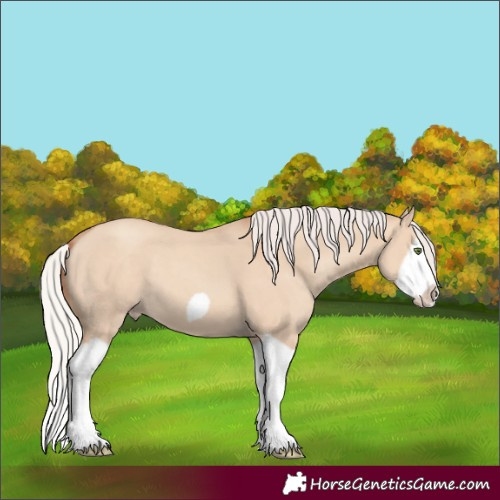 Horse Color:Silver Classic Champagne Dun Splash Frame 