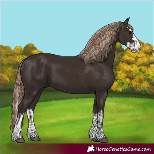 Horse Color:Liver Chestnut and Liver Chestnut Splash