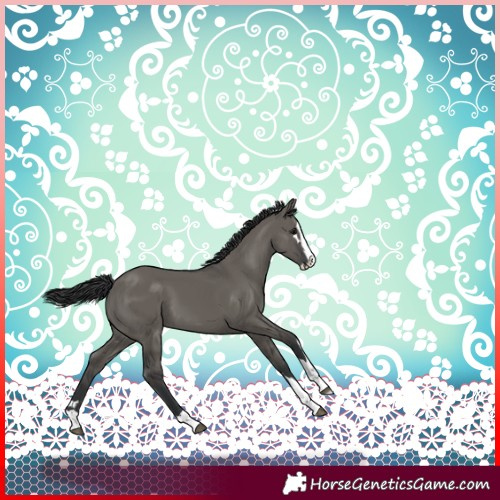 Horse Color:Grullo Splash