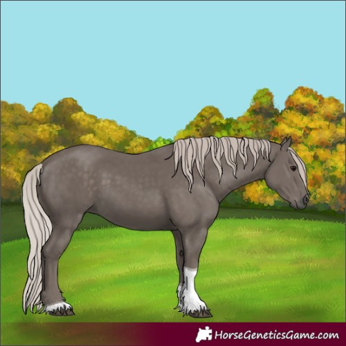 Horse Color:Silver Black Tobiano