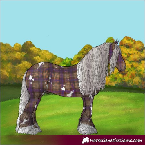 Horse Color:Plaid  White Spotted Silver Brown Tobiano 