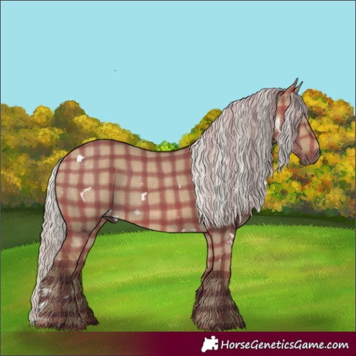 Horse Color:Plaid  White Spotted Silver Brown Dun 
