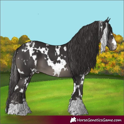 Horse Color:White Spotted Smoky Black Varnish 