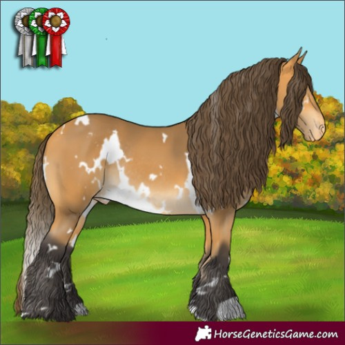 Horse Color:White Spotted Buckskin Varnish Rabicano 