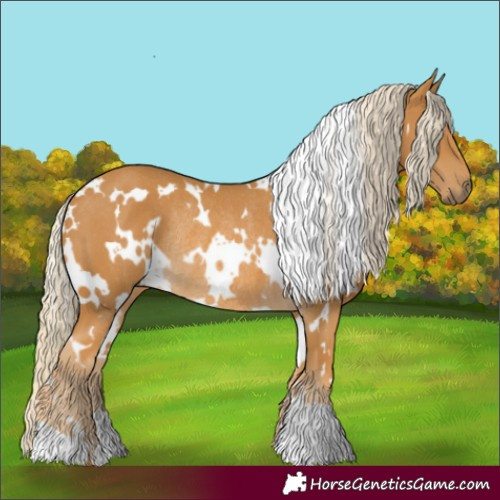 Horse Color:White Spotted Palomino Rabicano 