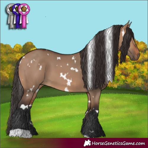 Horse Color:White Spotted Bay Dun 