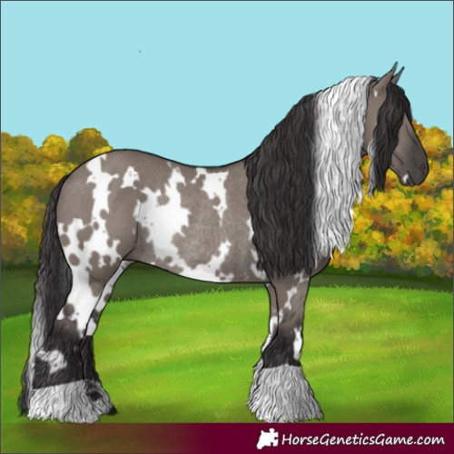 Horse Color:White Spotted Smoky Grullo Rabicano