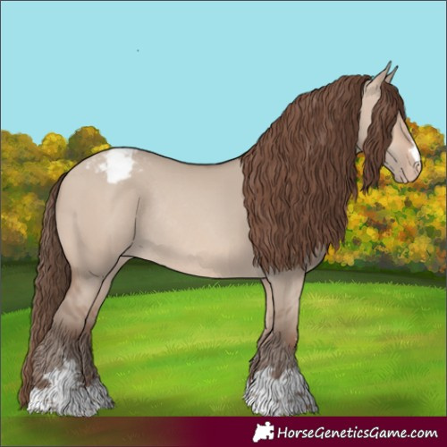 Horse Color:Sable Champagne Dun Varnish Rabicano 